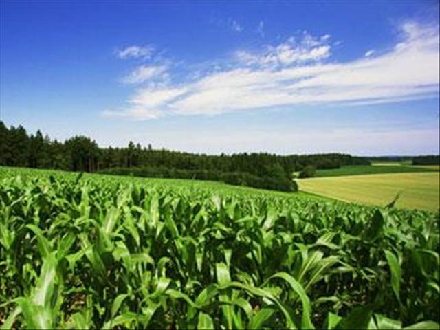 #SOPA2019: FS youth must partake in the Agricultural sector | News Article