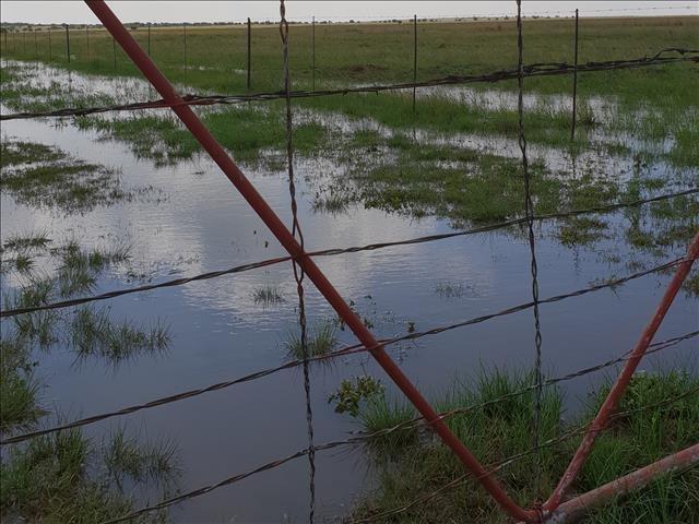 Boere in die Vrystaat beleef ‘n ‘finansiële droogte’ | News Article
