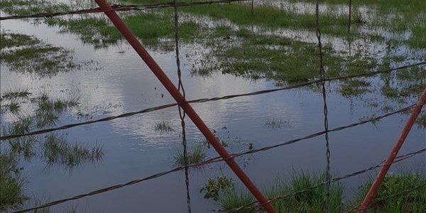 Boere in die Vrystaat beleef ‘n ‘finansiële droogte’ | News Article