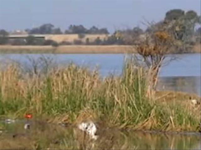 #VaalRiverPollution: SANDF needs at least R1 billion to rehabilitate the Vaal | News Article