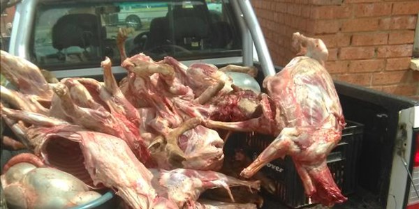 45-year-old arrested following discovery of suspected stolen livestock 45-year-old arrested following discovery of suspected stolen livestock | News Article