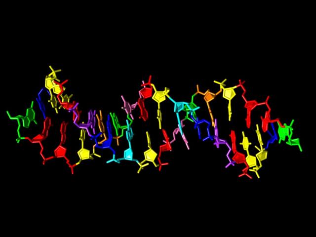 Scientists created DNA with 4 extra letters | News Article