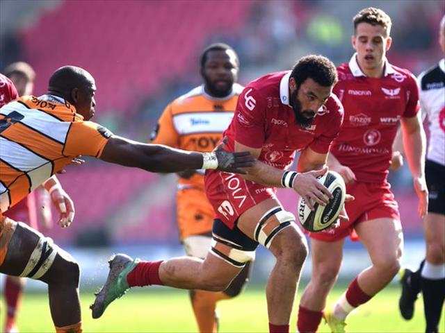 Scarlets blow the Cheetahs away | News Article