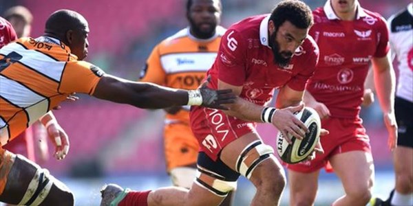 Scarlets blow the Cheetahs away | News Article