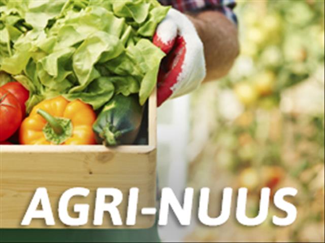 Landbounuus-podcast: Bek-en-klouseer knou wolbedryf | News Article