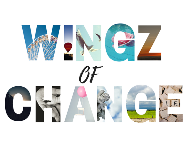 Just Plain Drive: The Wingz of Change | News Article