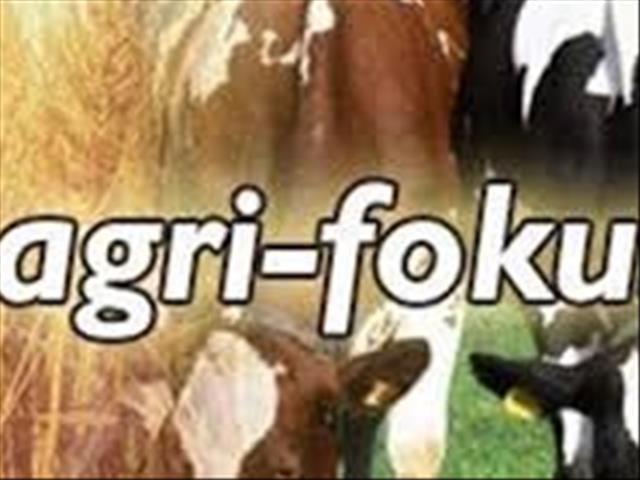 Agri Fokus-podcast: Meer oor woluitvoer na China, leierboer sterf aan kanker,  Tito Mboweni gee vir landbou | News Article