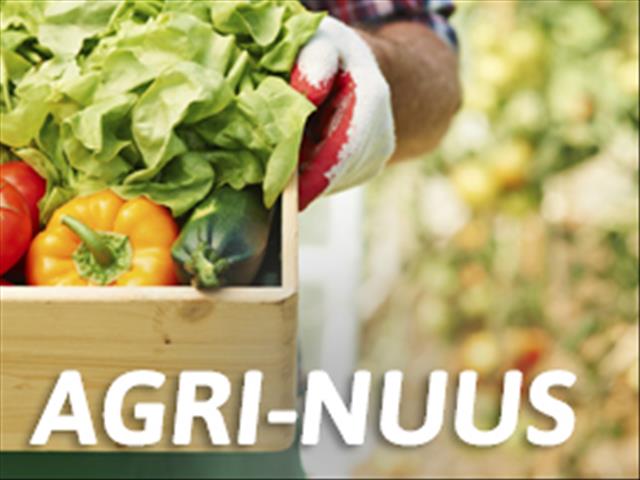 Landbounuus-podcast:  Oppervlakteskatting vir somergewasse wys verbeterde produksiestoestande | News Article