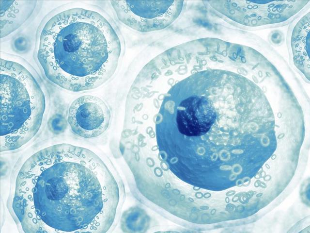 SA in need of stem cell donors | News Article