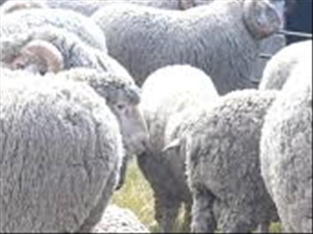 Nuwe wending in woloorlog in Lesotho  | News Article