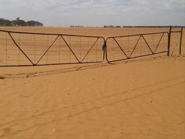 #Drought - Permanent relief fund aimed at assisting all farmers | News Article