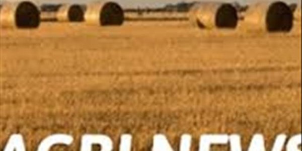 Landbounuus-podcast: #Saai ondersteun boere op produksievlak en meer sorghum aangeplant | News Article