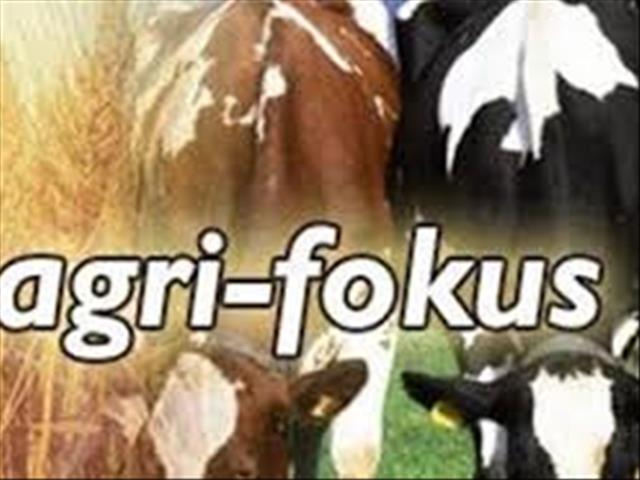 OFM Agri Fokus: Piet Croucamp praat oor gronddiefstal deur wit Suid-Afrikaners | News Article