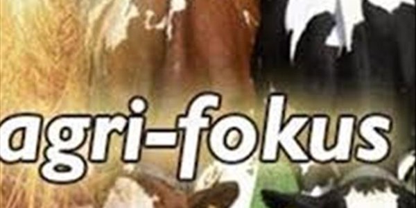 OFM Agri Fokus: Piet Croucamp praat oor gronddiefstal deur wit Suid-Afrikaners | News Article