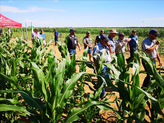 Suid-Afrikaanse grond gaan verlore weens erosie | News Article