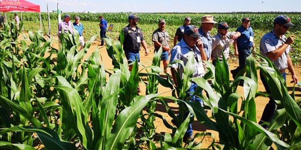 Suid-Afrikaanse grond gaan verlore weens erosie | News Article