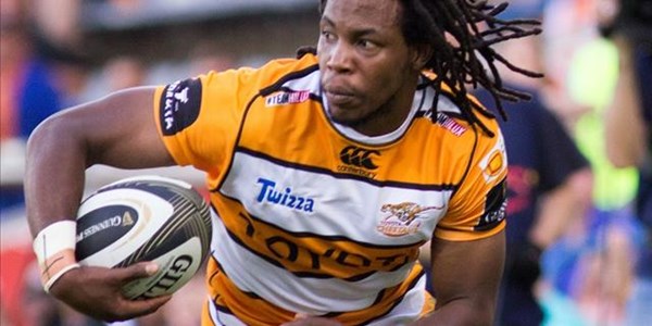 Cheetahs expect a quick game in Glasgow | News Article