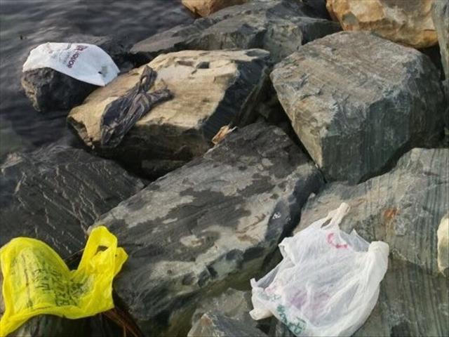 Not so fantastic: Can Japan end its love affair with plastic? | News Article