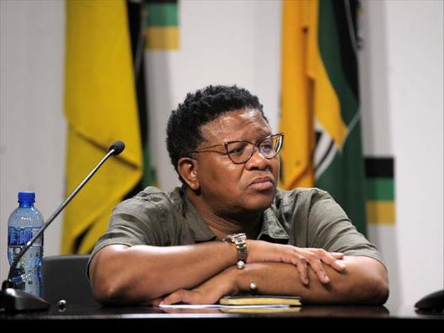 Mbalula says he 'froze' when Ajay Gupta told him about his ministerial appointment | News Article
