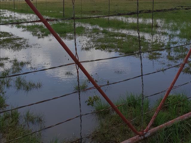 Reën word verwag vir Vrystaat en Noordwes, maar Noord-Kaapse gebiede steeds dor | News Article