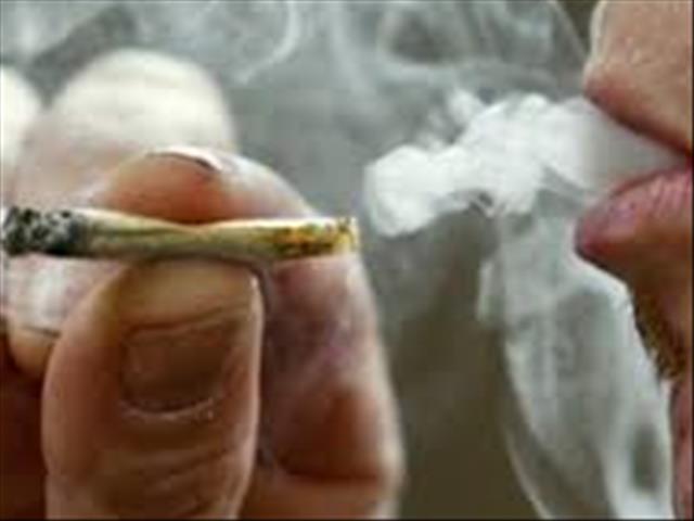 African cannabis industry 'could be worth billions' | News Article