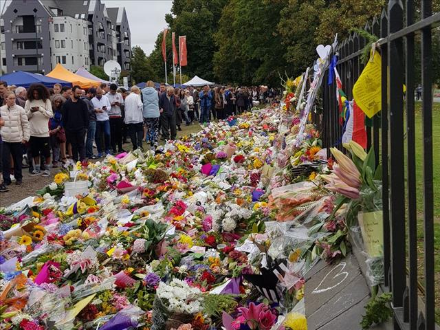 'We are one': New Zealand mourns with prayers, silence | News Article
