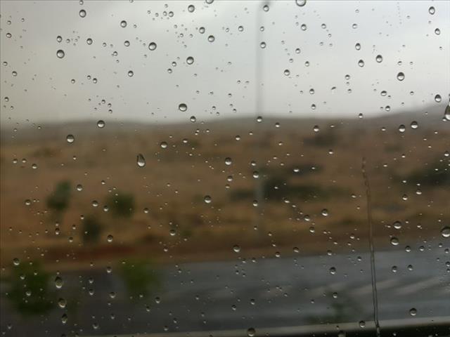 Mangaung on high alert over forecasted heavy storms | News Article