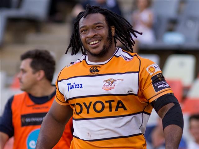 Cheetahs positive heading into last three games | News Article