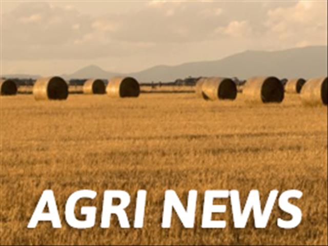 Agri News Podcast: Fifty households receive title deeds from President | News Article
