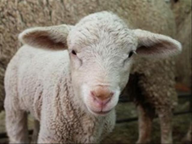  Simptome van ekseemuitslag kan verlig word | News Article