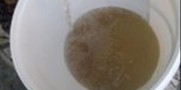 Toxic sludge ‘will kill people’ | News Article