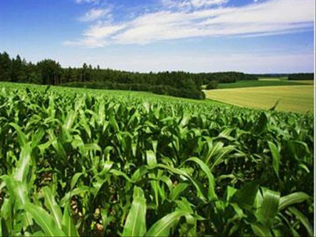 From load shedding to empowering woman in agriculture | News Article