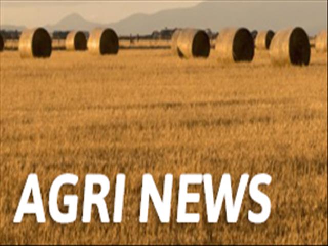 South African Giant Pumpkin record smashed | News Article