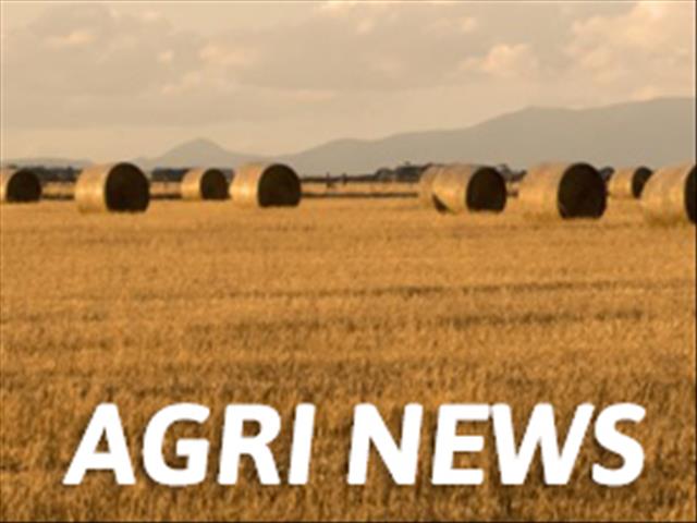 Agri News Podcast: Cross-border crime remains an obstacle | News Article
