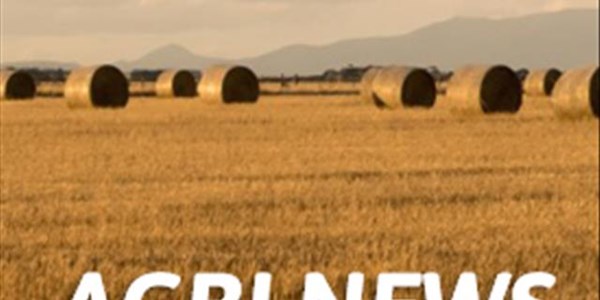 Agri News Podcast: Cross-border crime remains an obstacle | News Article