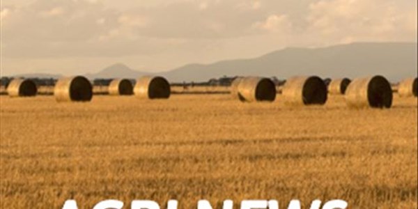 Agri-podcast: Glen College celebrates centenary Agri-podcast: Glen College celebrates centenary | News Article