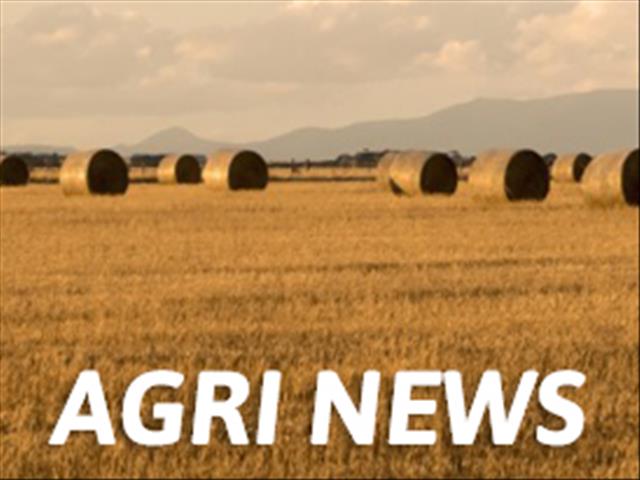 Agri News Podcast: NW MEC adamant on digitalising | News Article