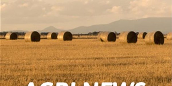 Agri-podcast: Foot-and-mouth disease in Limpopo Agri-podcast: Foot-and-mouth disease in Limpopo | News Article