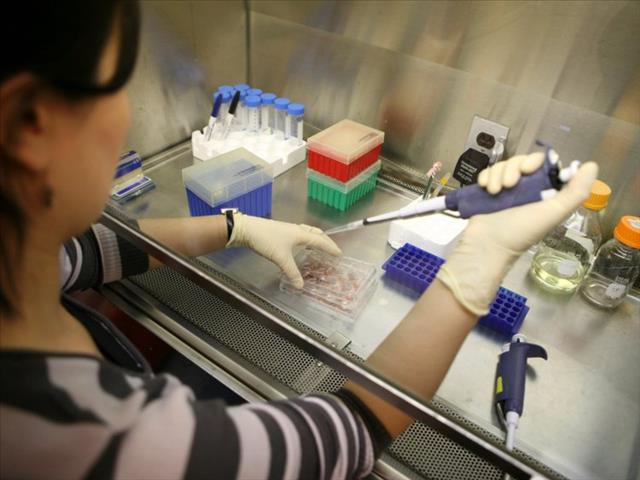 Japan approves research involving implanting animals with human cells | News Article