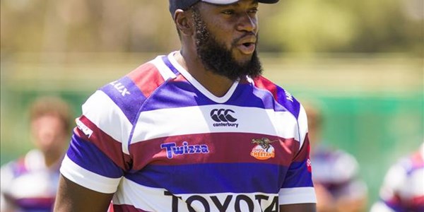 Ulengo on trial at the Kings | News Article