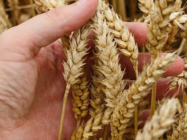 Safex-verslag - 18 April 2019 | News Article