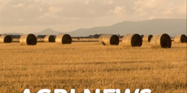 Agri-podcast: Fuel price to affect farmers Agri-podcast: Fuel price to affect farmers | News Article