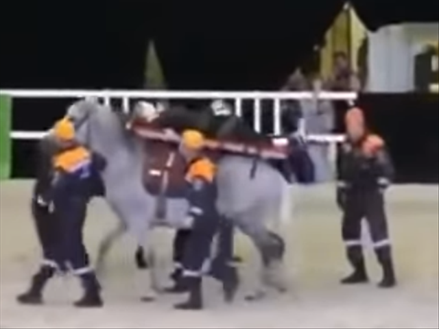 Saturday Express: What could go wrong thinking that putting a stretcher on a horse would be beneficial for saving lives | News Article