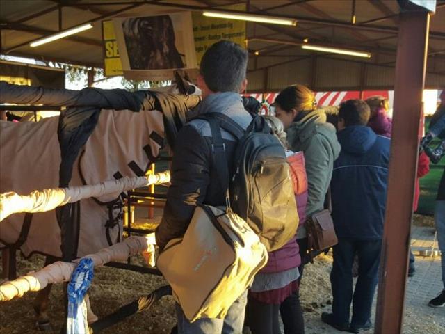 Agri News Podcast: #Nampo to accommodate more exhibitors  | News Article