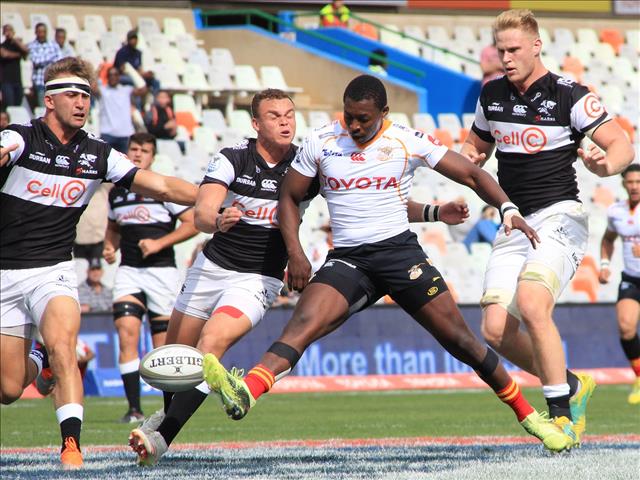 Cheetahs welcome preseason ahead of the Currie Cup | News Article