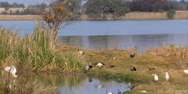 #VaalRiverPollution: Sebokeng water treatment plant in SAHRC’s spotlight | News Article