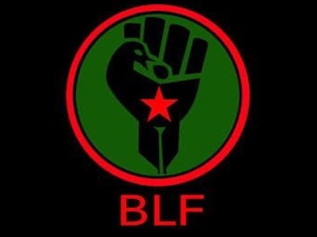 #Election2019: FF Plus, BLF to battle it out in court | News Article