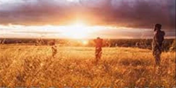 Nasionale Dieregesondheidsforum en Departement Landbou bespreek bek-en-klouseer Nasionale Dieregesondheidsforum en Departement Landbou bespreek bek-en-klouseer | News Article
