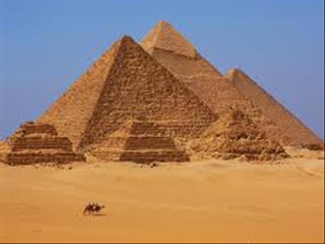 Mummified mice found in husband and wife's tomb in Egypt | News Article