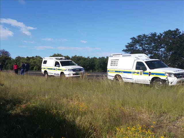 Stolen pigs lead to N1 AM shoot-out | News Article